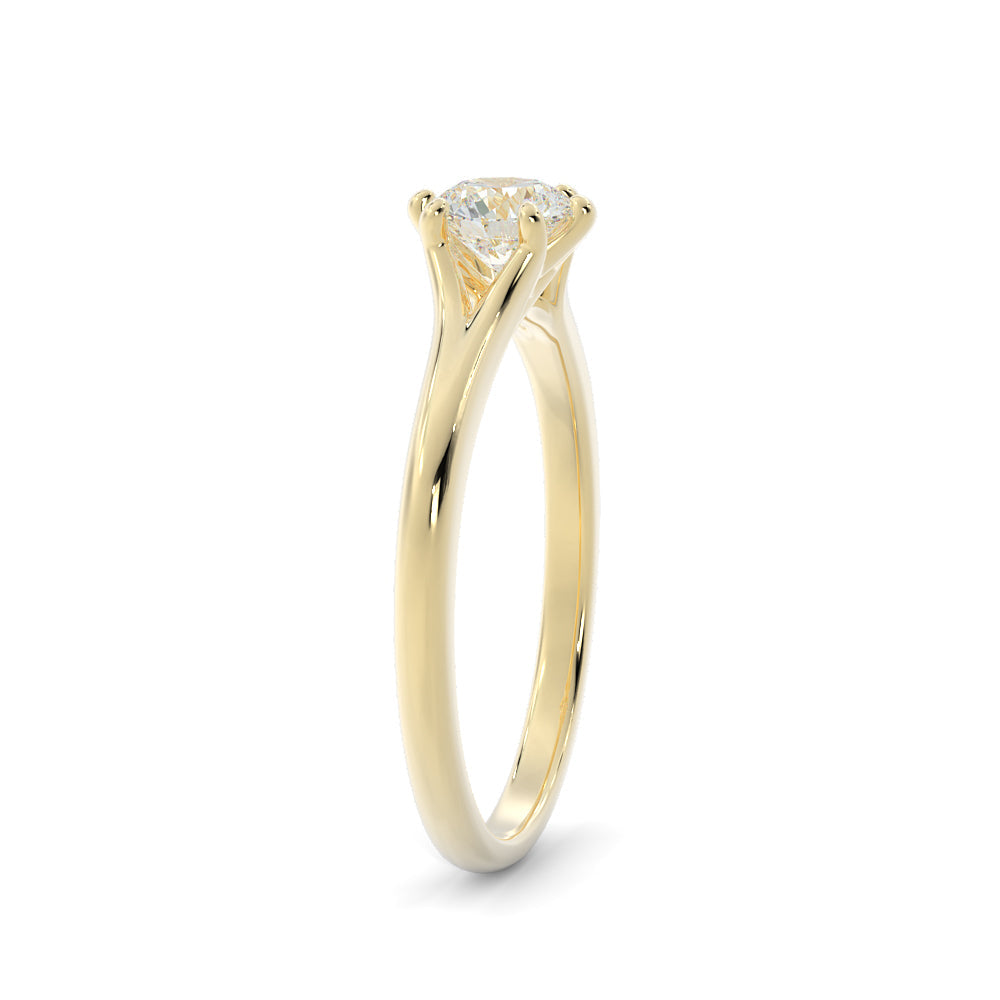 Split shank Natural Round  Diamond Engagement Ring